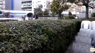 欧美多毛裸体_欧美亚洲精品成人视频